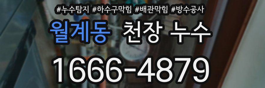 월계동 천장 누수