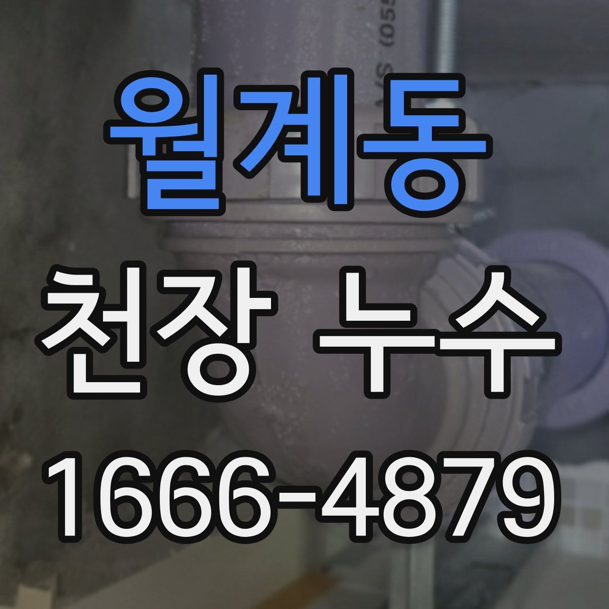 월계동 천장 누수
