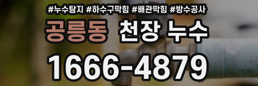 공릉동 천장 누수