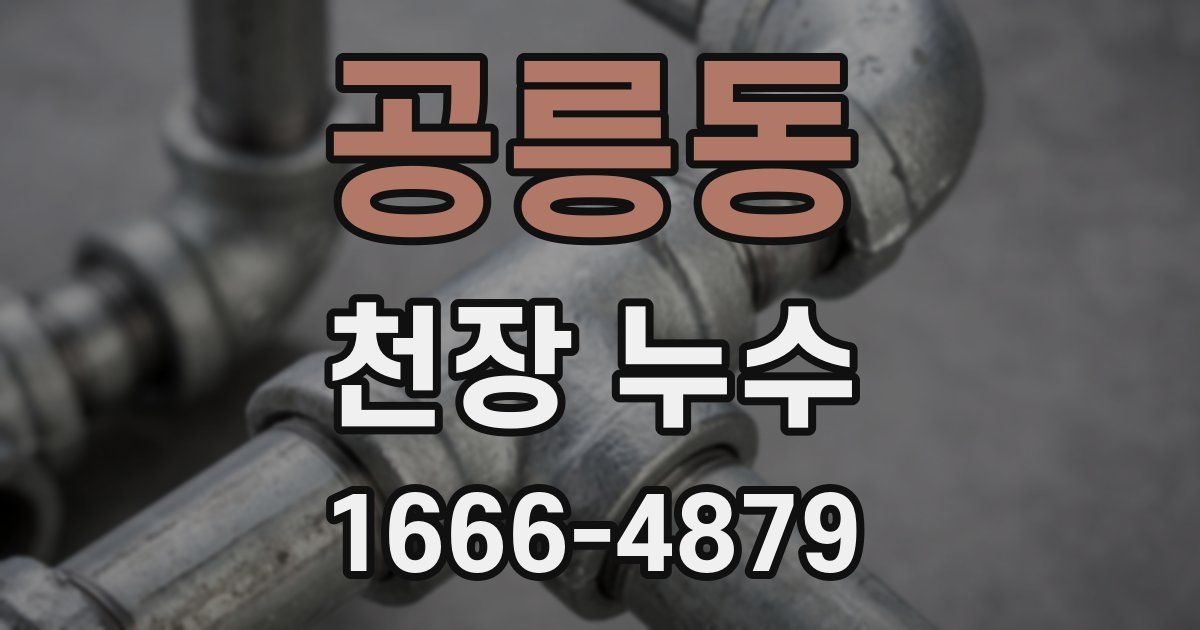 공릉동 천장 누수