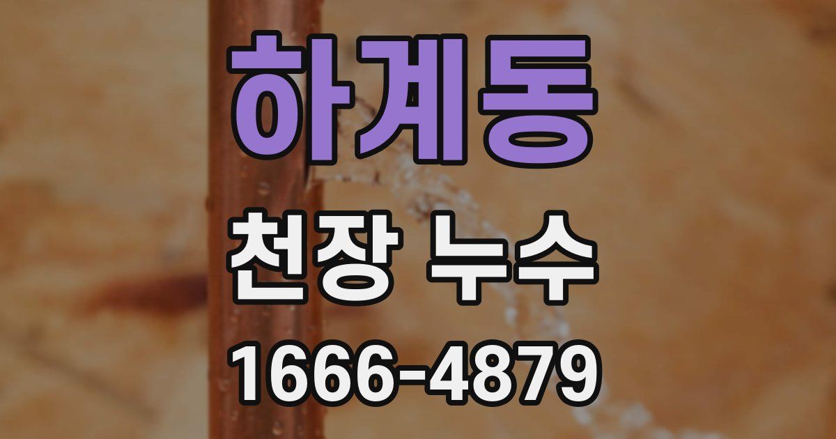 하계동 천장 누수
