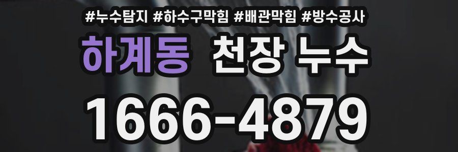 하계동 천장 누수