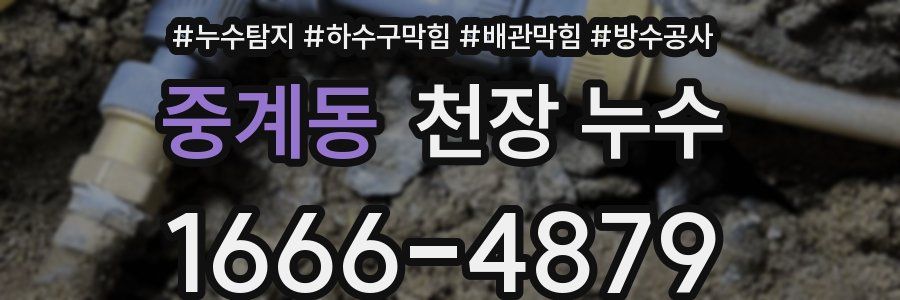 중계동 천장 누수