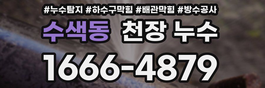 수색동 천장 누수