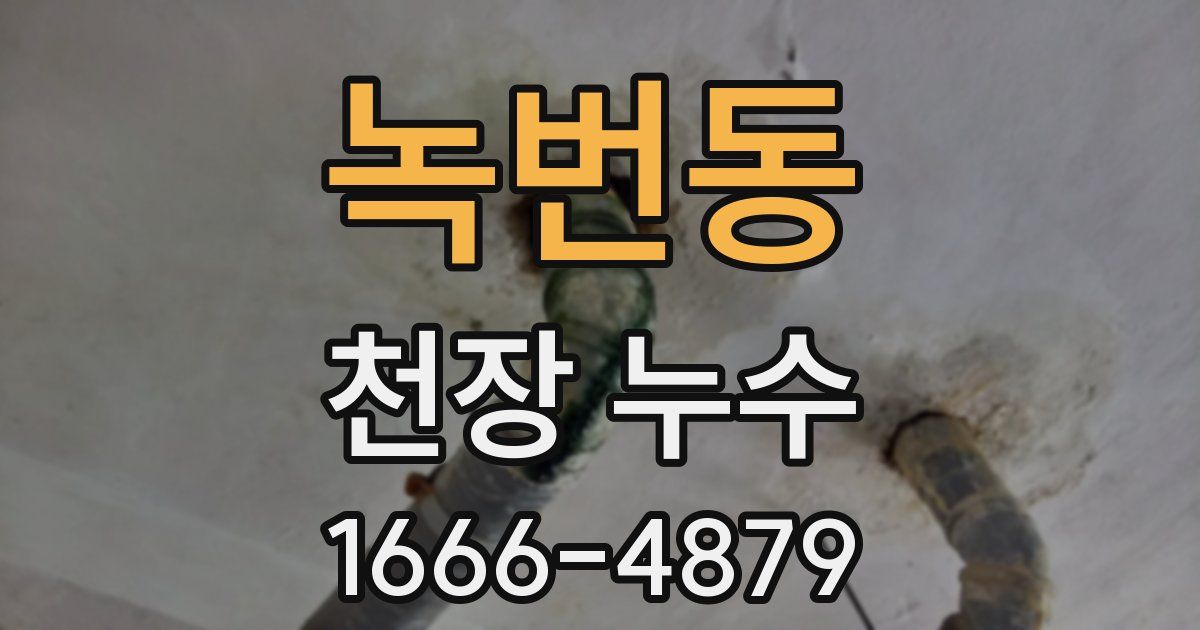 녹번동 천장 누수