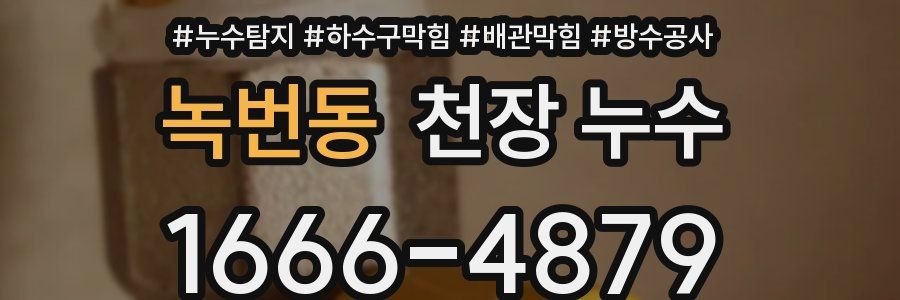 녹번동 천장 누수