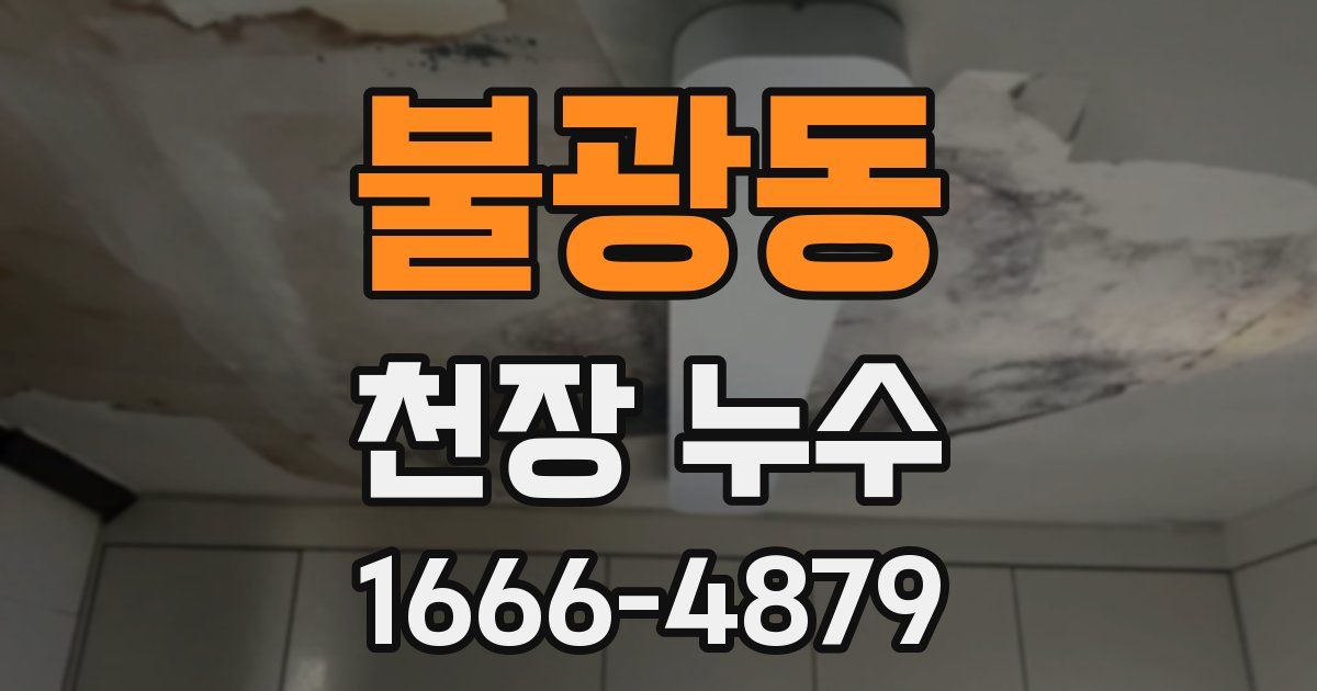 불광동 천장 누수