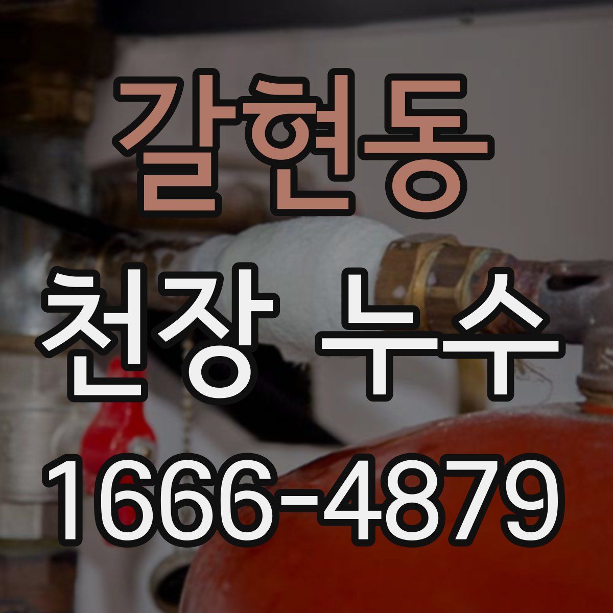 갈현동 천장 누수