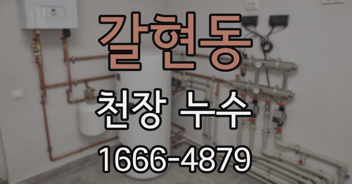 갈현동 천장 누수