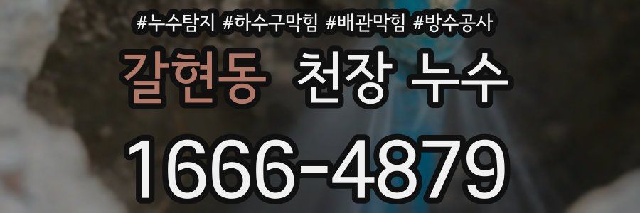 갈현동 천장 누수