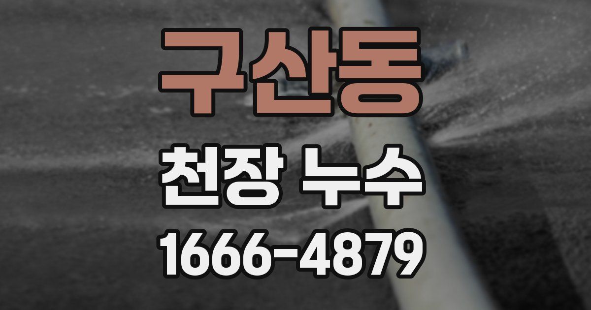 구산동 천장 누수