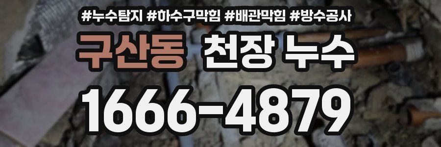 구산동 천장 누수