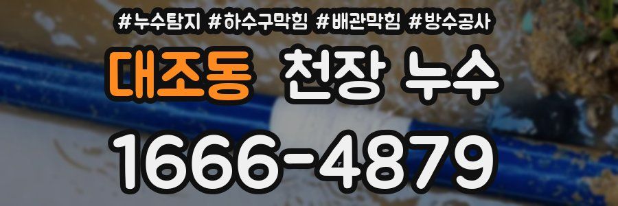 대조동 천장 누수
