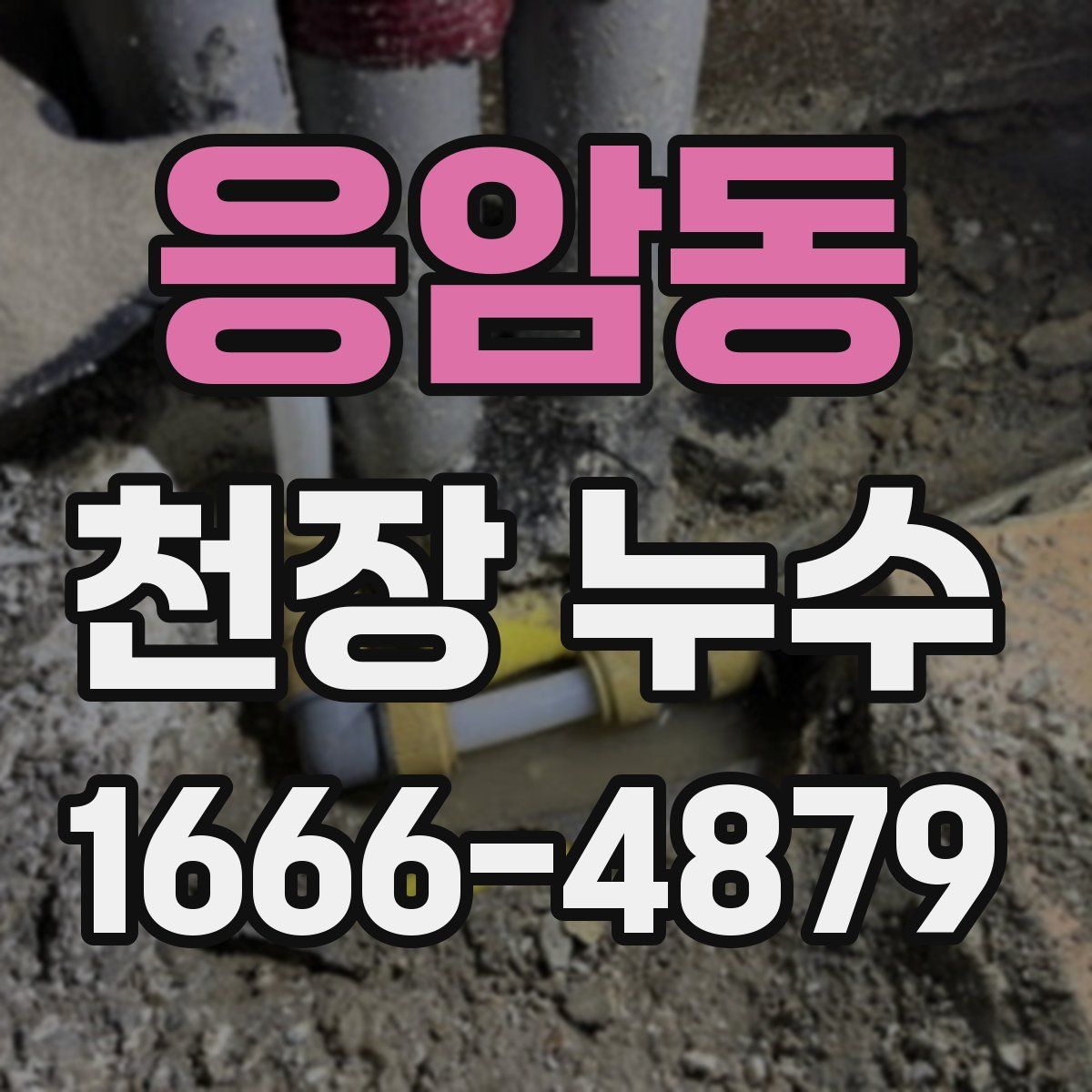 응암동 천장 누수