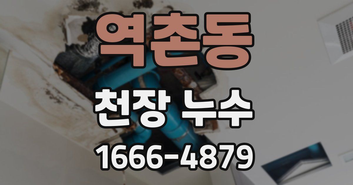 역촌동 천장 누수