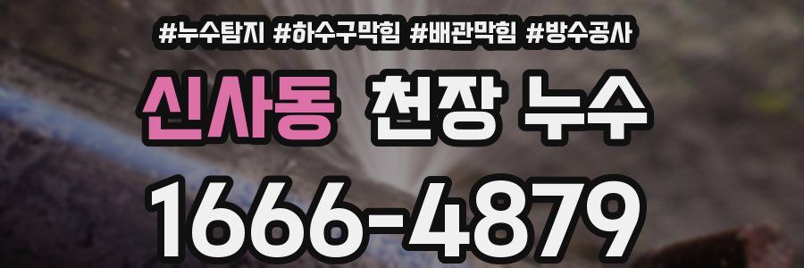 신사동 천장 누수