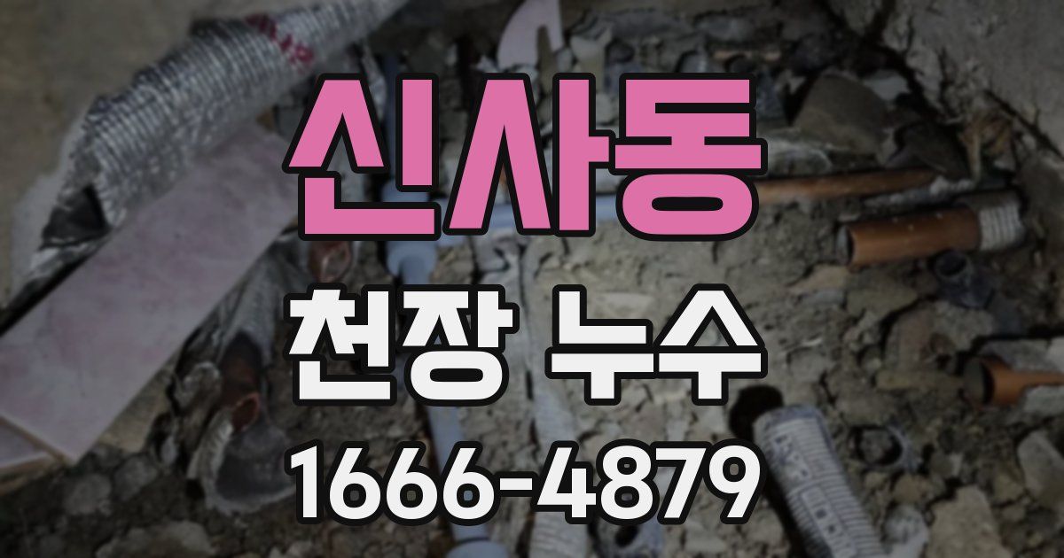 신사동 천장 누수