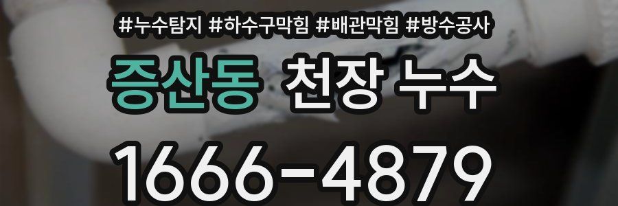 증산동 천장 누수