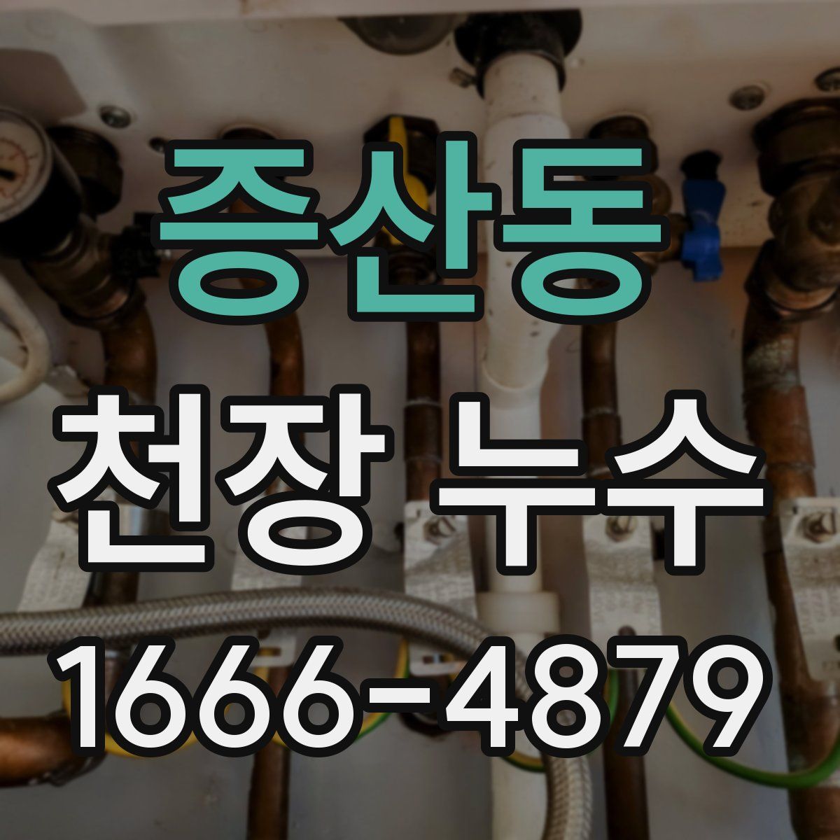 증산동 천장 누수