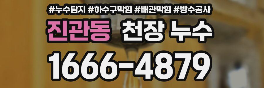 진관동 천장 누수