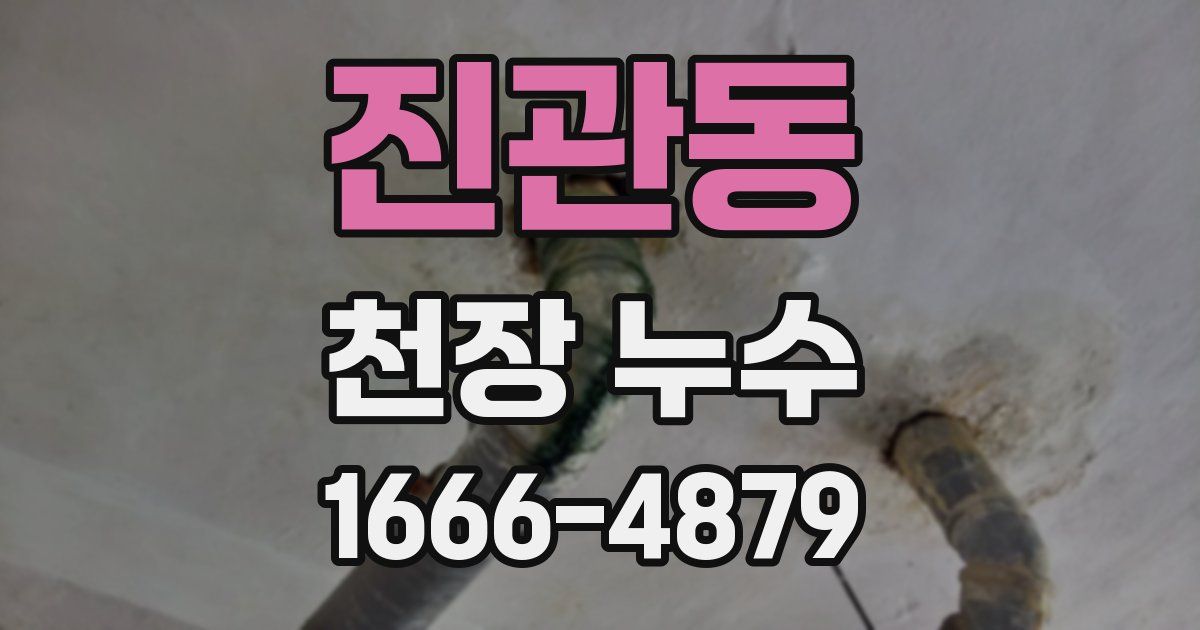 진관동 천장 누수