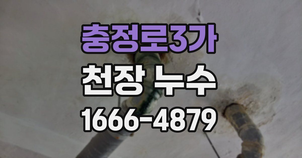충정로3가 천장 누수
