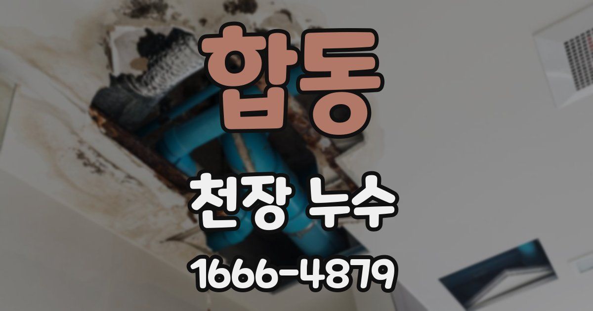 합동 천장 누수