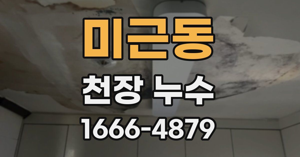 미근동 천장 누수