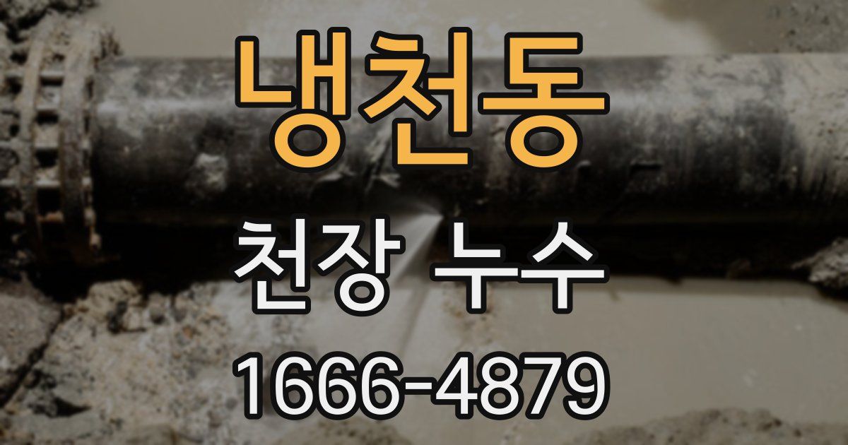 냉천동 천장 누수