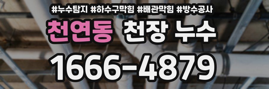 천연동 천장 누수