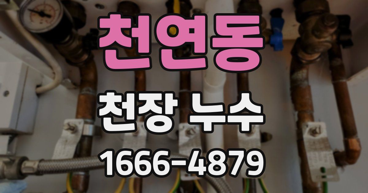 천연동 천장 누수