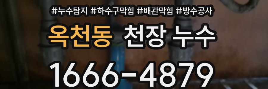 옥천동 천장 누수