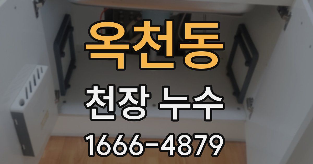 옥천동 천장 누수