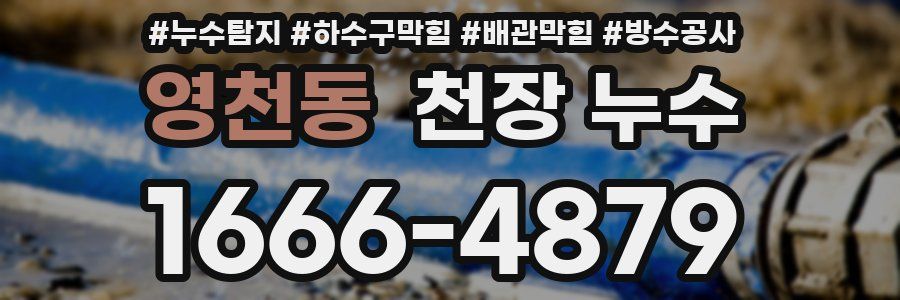 영천동 천장 누수
