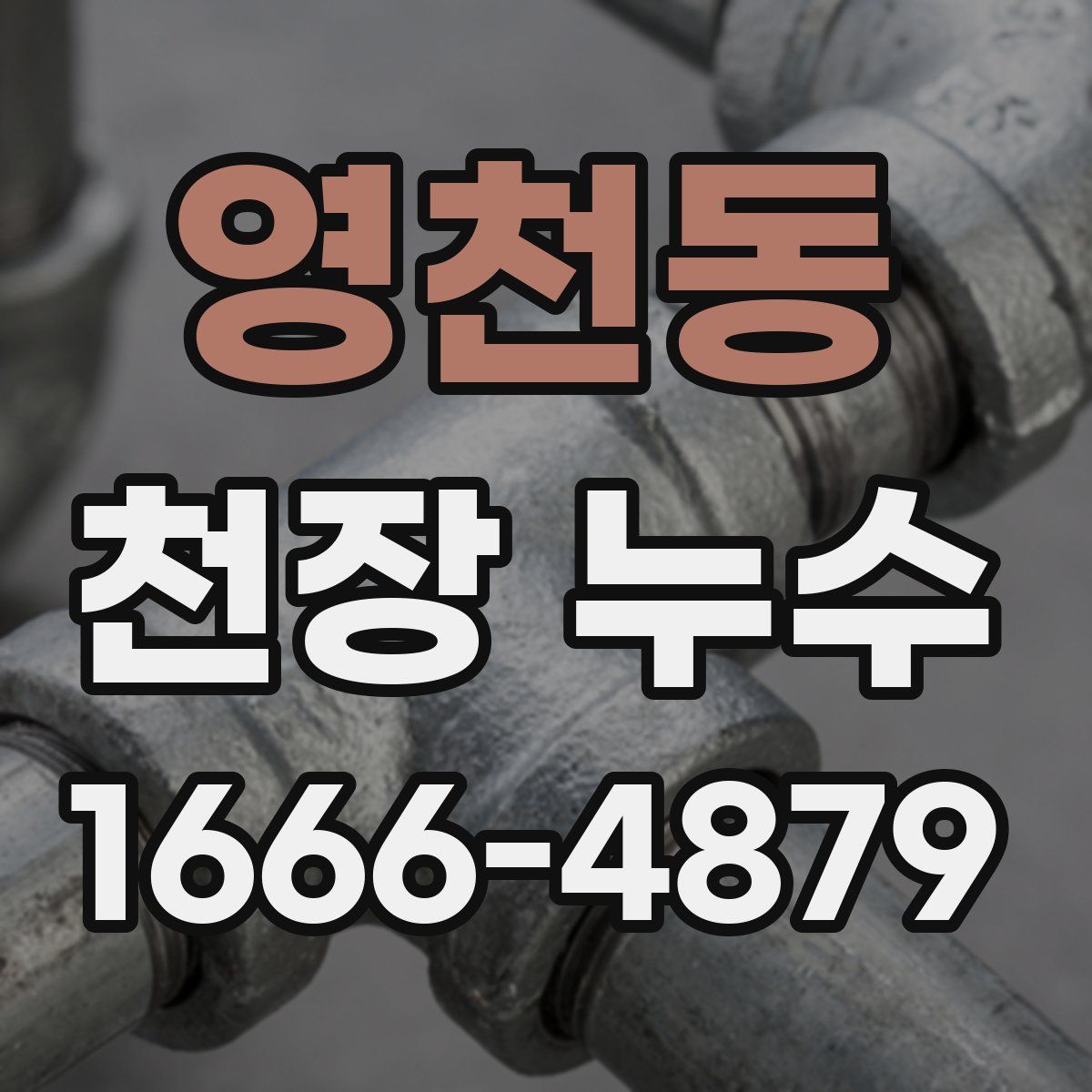 영천동 천장 누수