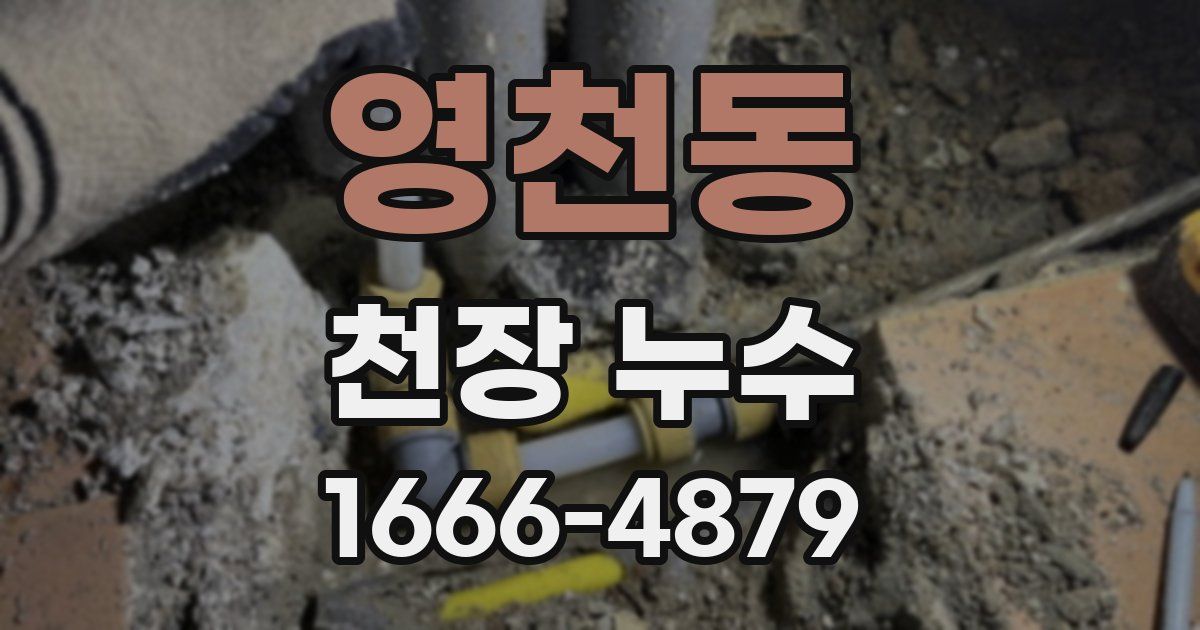 영천동 천장 누수