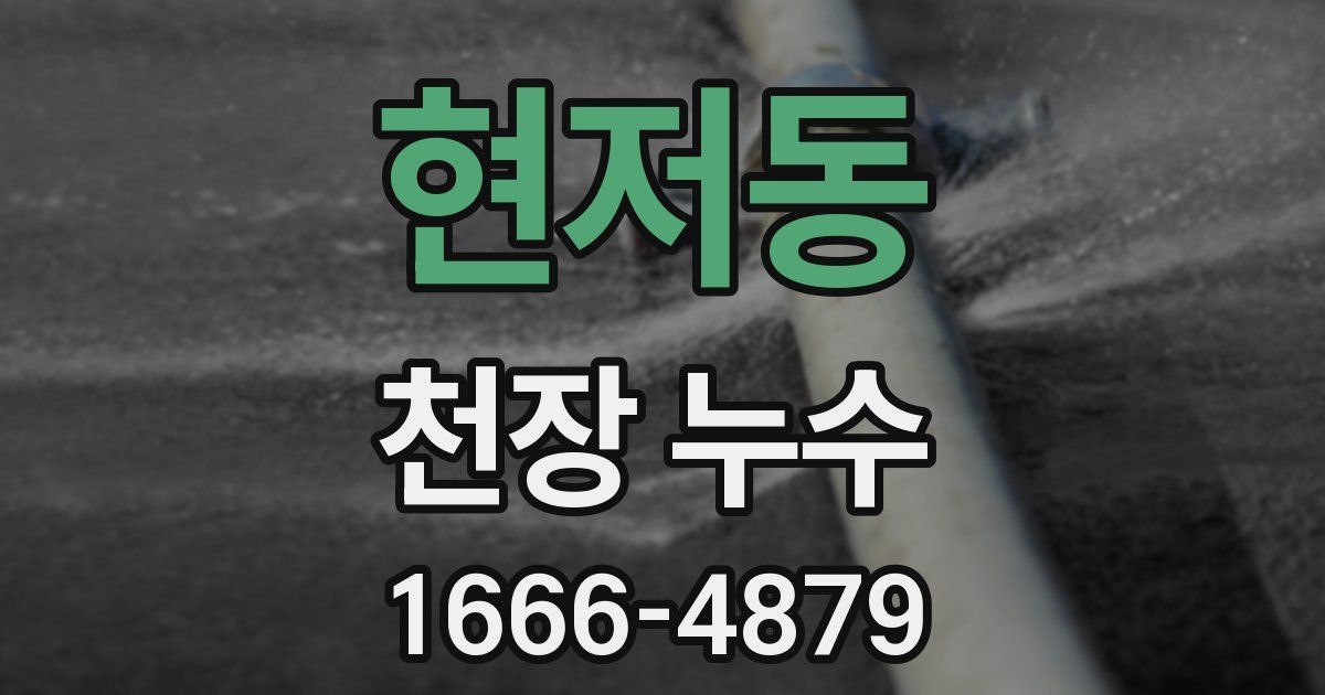 현저동 천장 누수