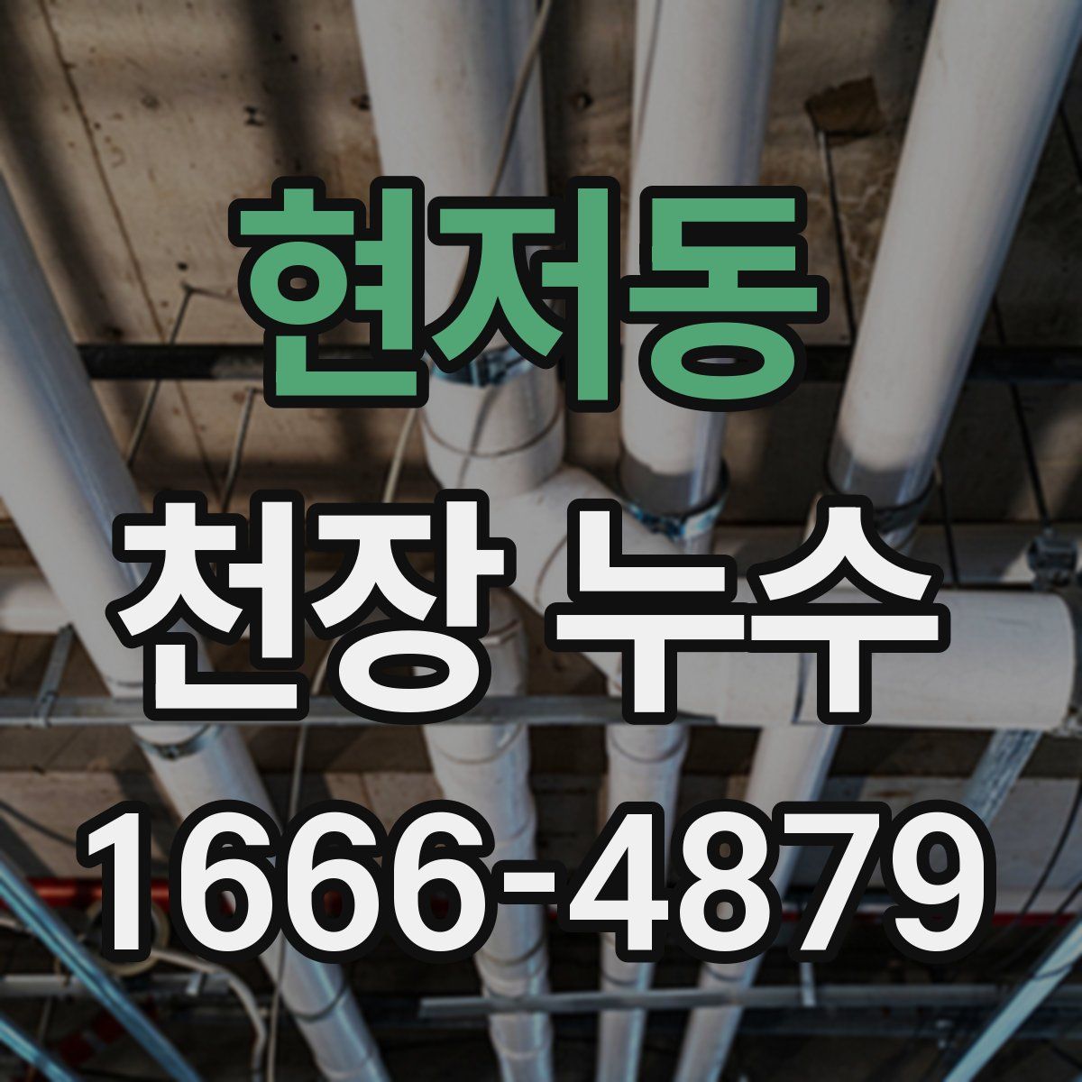현저동 천장 누수