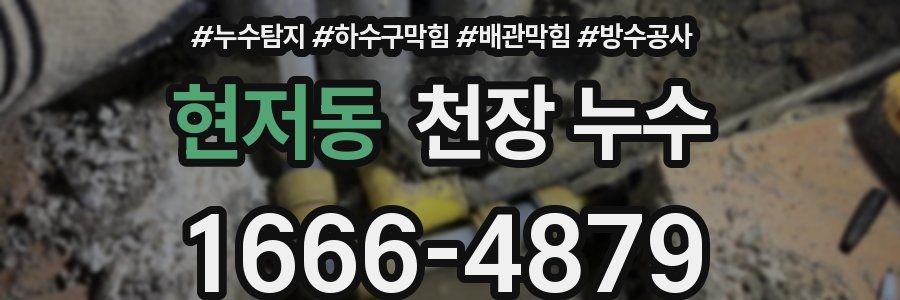 현저동 천장 누수