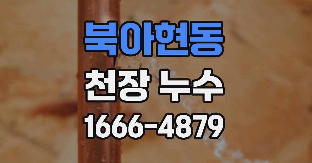 북아현동 천장 누수