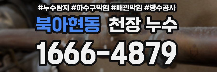 북아현동 천장 누수