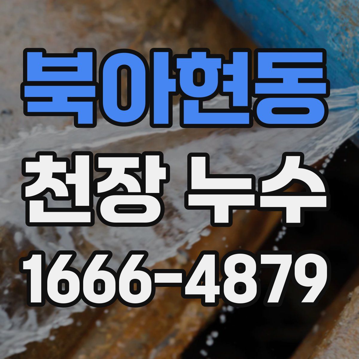 북아현동 천장 누수