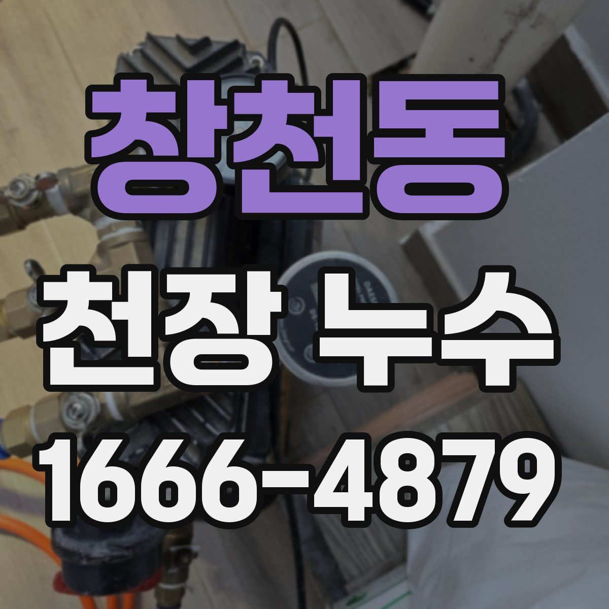 창천동 천장 누수