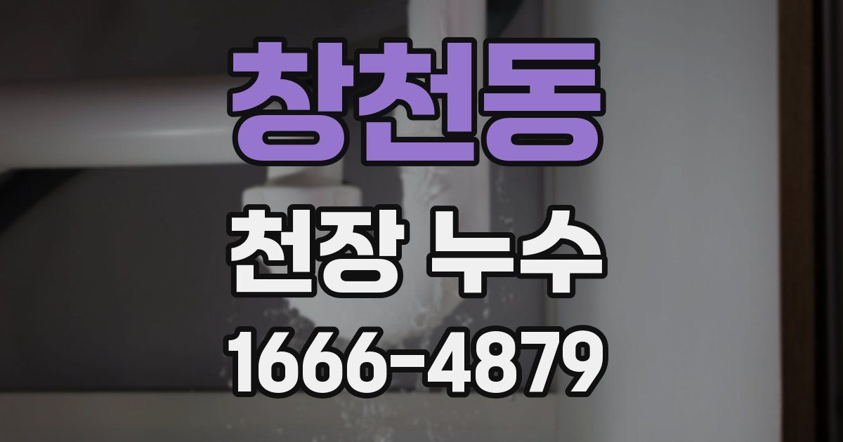 창천동 천장 누수