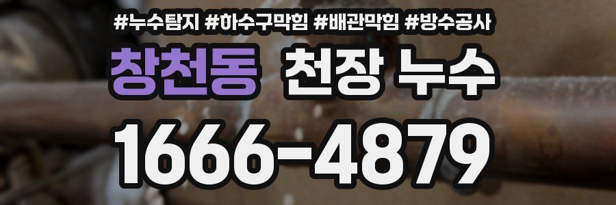 창천동 천장 누수