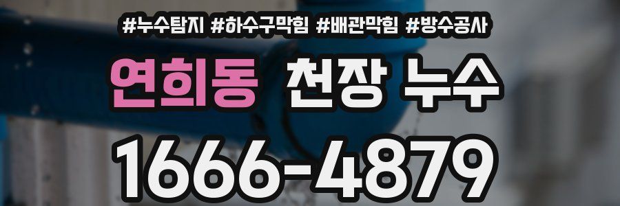 연희동 천장 누수