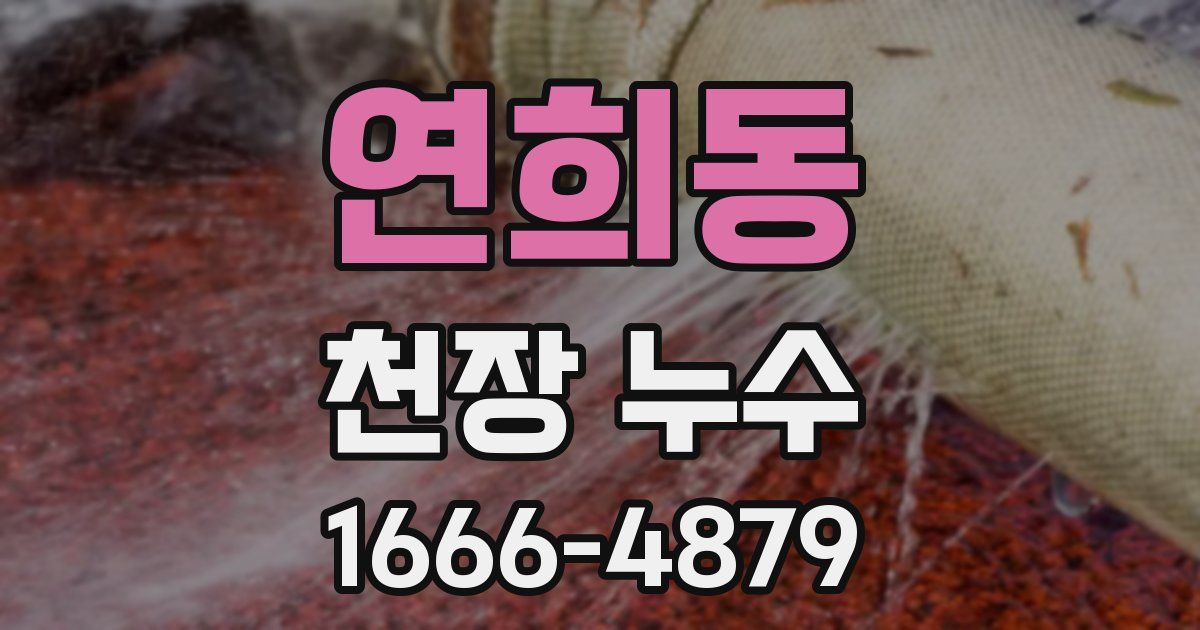 연희동 천장 누수