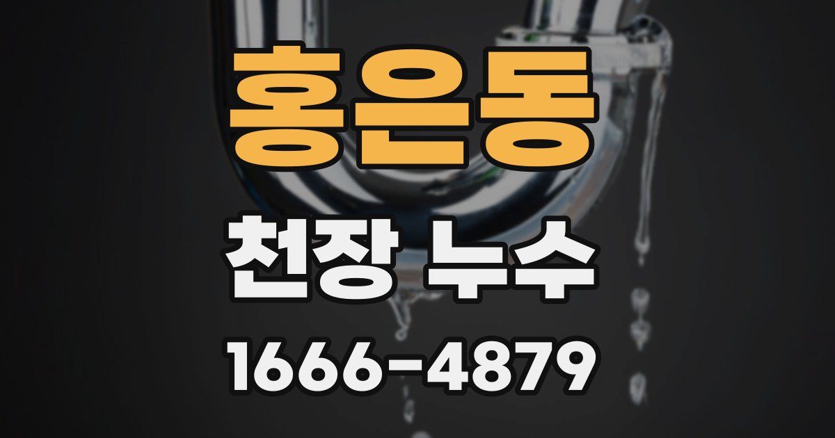 홍은동 천장 누수