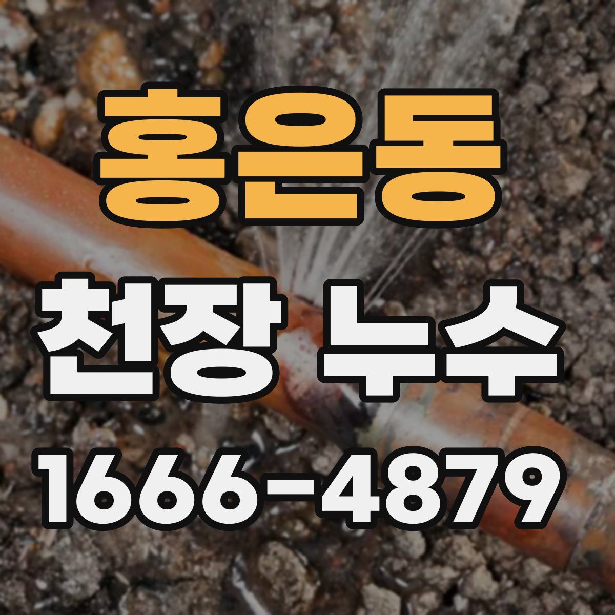 홍은동 천장 누수