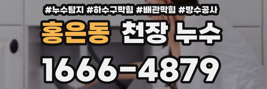 홍은동 천장 누수